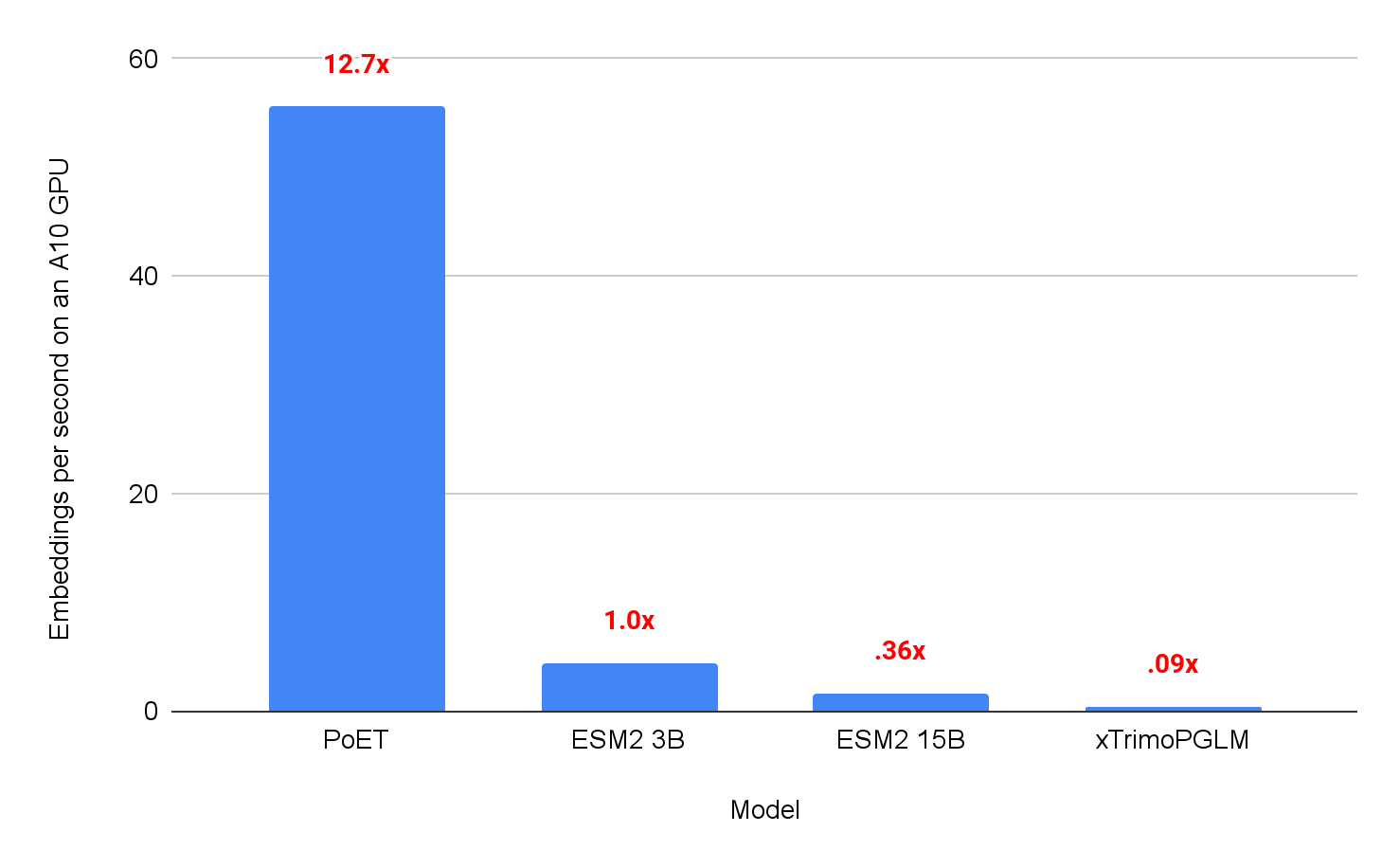 Bar chart comparing model throughput on GPU for different protein language models